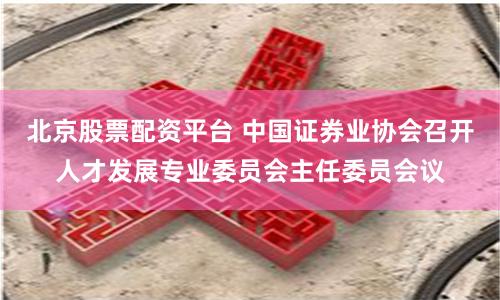 北京股票配资平台 中国证券业协会召开人才发展专业委员会主任委员会议